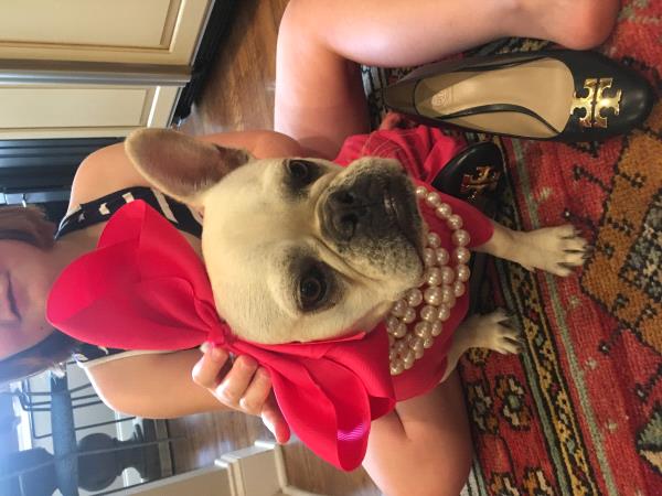 /Images/uploads/Bon Secours St Francis Foundation Inc/2017pearlsandpups/entries/4845thumb.jpg